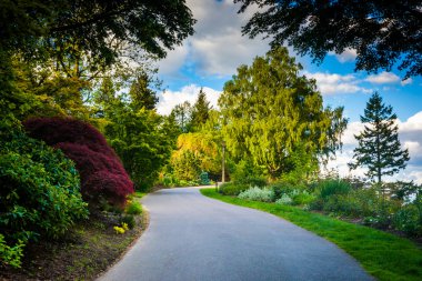 Ağaçlar Pittock dönüm Park, Portland, Oregon'da bir geçit boyunca