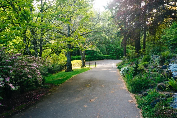 Giardini lungo una passerella fuori dalla Pittock Mansion, a Portland — Foto Stock