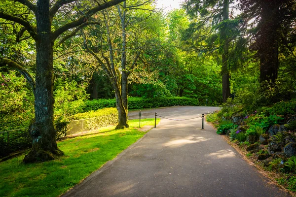 Giardini lungo una passerella fuori dalla Pittock Mansion, a Portland — Foto Stock