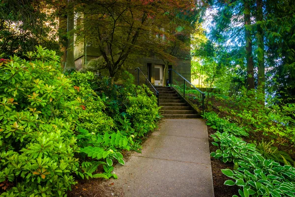 Ogrody wzdłuż chodnika poza Pittock Mansion, w Portland — Zdjęcie stockowe