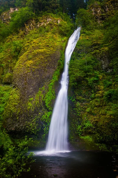 Horsetail Falls, no desfiladeiro do rio Columbia, Oregon . — Fotografia de Stock