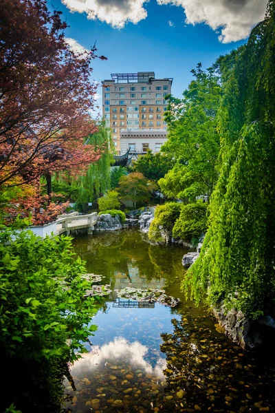 高層ビルと、ポートランドで Lan Su 中国庭園で池や — ストック写真