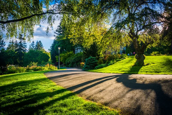 Strom a chodníku na Pittock akrů parku, v Portlandu, Oregon. — Stock fotografie