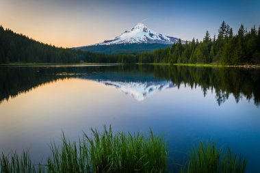 Grasses and Mount Hood reflecting in Trillium Lake at sunset, in clipart