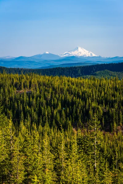 Widok na Mount Jefferson, od góry Tom, Dick, i Harry, w — Zdjęcie stockowe