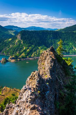 Columbia Nehri Columbia River G Mitchell noktadan görünüm
