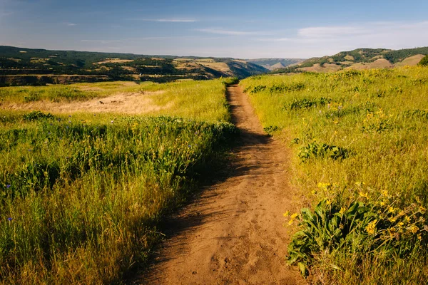 Percorso presso Tom McCall Nature Preserve, Columbia River Gorge, Orego — Foto Stock