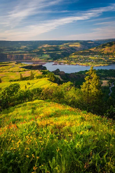 Vista do rio Columbia a partir de Tom McCall Nature Preserve, Colu — Fotografia de Stock