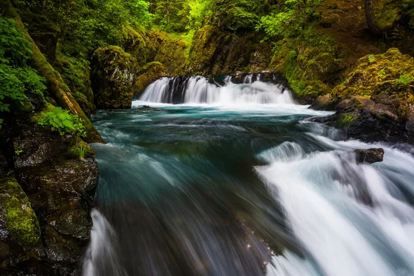Cascades stroomt op de kleine witte zalmrivier hieronder geest Falls, in — Stockfoto
