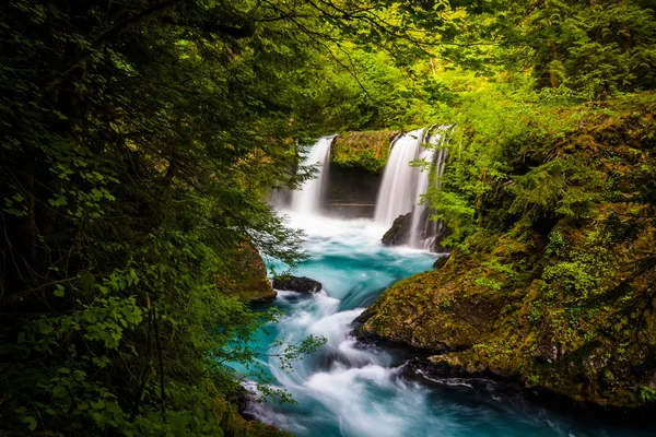 Vista de Spirit Falls no Little White Salmon River no Col — Fotografia de Stock