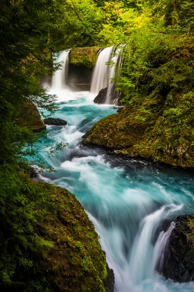 Veduta delle Cascate dello Spirito sul Fiume Salmone Bianco nel Col — Foto Stock