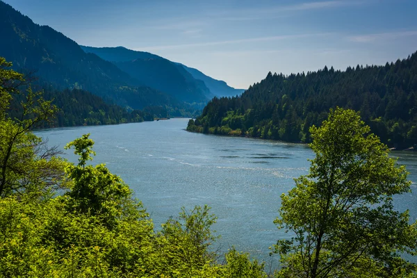 View of the Columbia River, in Cascade Locks, Oregon. — Stock Photo, Image