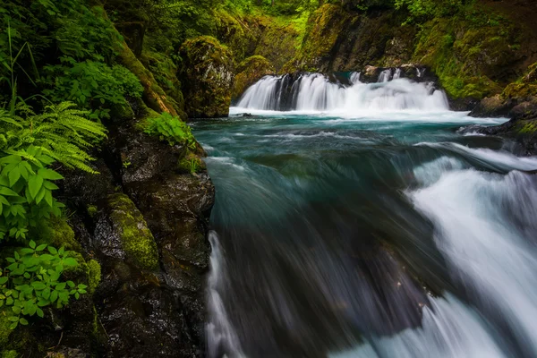 A kis fehér lazac folyó alatt Spirit Falls epizódok, vízesések — Stock Fotó