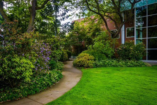 Jardines a lo largo de un camino en el Seattle Center, en Seattle, Washingt — Foto de Stock