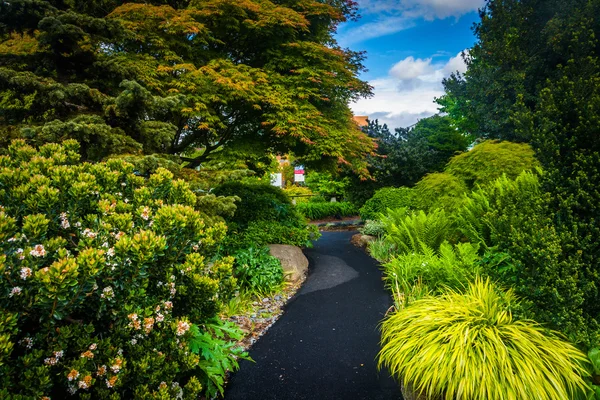 Jardines a lo largo de un camino en el Seattle Center, en Seattle, Washingt — Foto de Stock