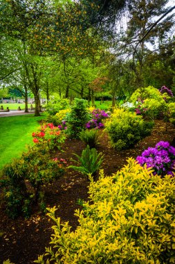 Bellevue, Washington Şehir Parkı'ndaki bahçeler.