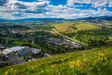Flowers and view of Missoula from Mount Sentinel, in Missoula, M clipart