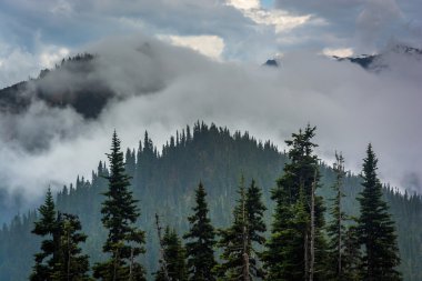 Çam ağaçları ve bulutlara, Olimpiyat Ulusal tarafından kapatmamasını dağlar