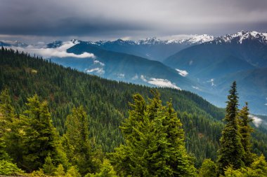 Kasırga Ridge, Oly karlı Olimpiyat dağlardan görünümünü
