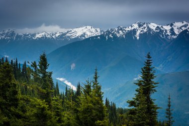 Kasırga Ridge, Oly karlı Olimpiyat dağlardan görünümünü