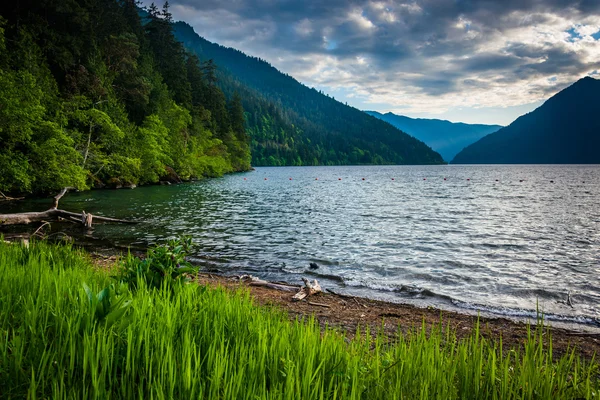 Füvek és tó Crescent, Olympic Nemzeti Park, Washington. — Stock Fotó