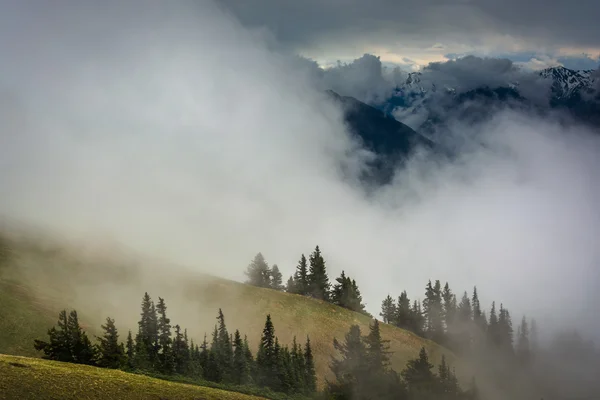 Heuvels en bergen verduisterd door wolken, gezien vanaf orkaan R — Stockfoto