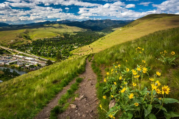 Sentiero e fiori sul Monte Sentinella, a Missoula, Montana . — Foto Stock