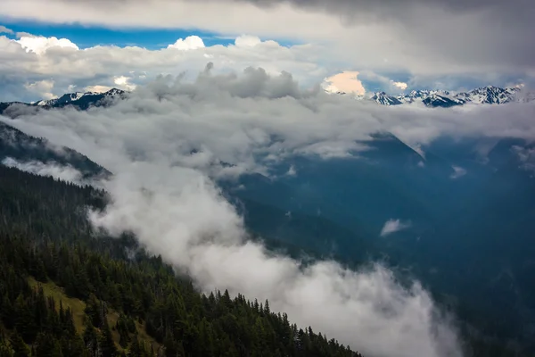 Vista de montanhas e nuvens baixas de Hurricane Ridge, em Olympi — Fotografia de Stock