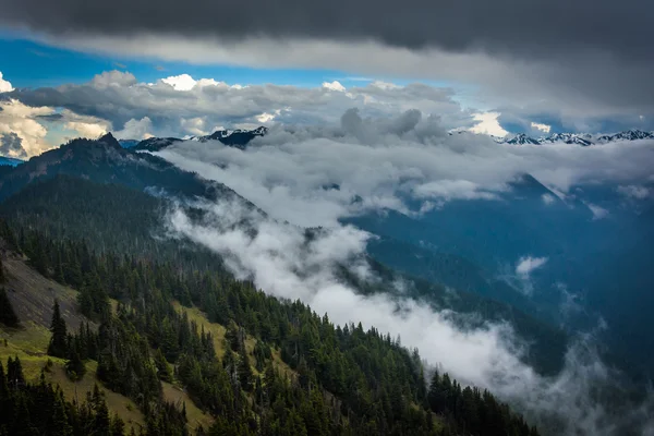 Veduta delle montagne e delle nuvole basse dall'uragano Ridge, nell'Olympi — Foto Stock