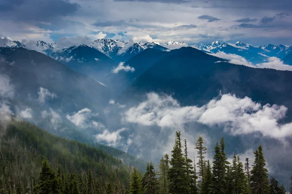 Uitzicht op de besneeuwde Olympic Mountains en de lage wolken van Hurrican — Stockfoto