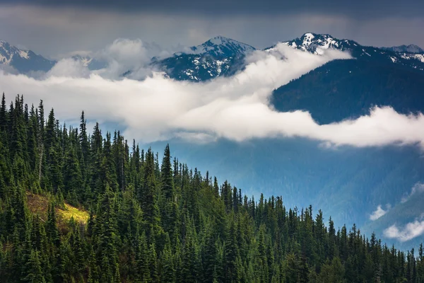 Vista das montanhas olímpicas nevadas de Hurricane Ridge, em Oly — Fotografia de Stock