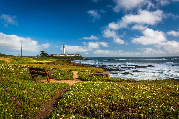 Panchina e vista sul faro di Piegon Point a Pescadero, Californ — Foto Stock