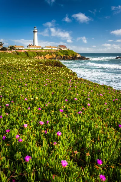 Fiori e vista sul faro di Piegon Point a Pescadero, Califo — Foto Stock