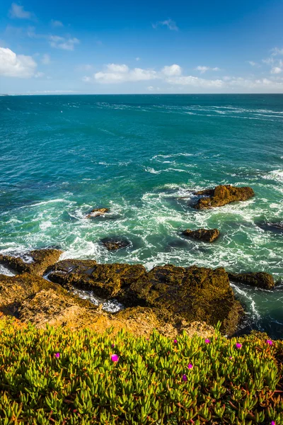 De rotsachtige kust van de Stille Oceaan gezien in Pescadero, Californië. — Stockfoto