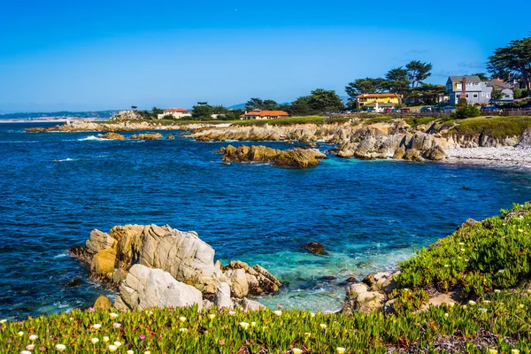 Pohled na skalnaté pobřeží v Pacific Grove, Kalifornie. — Stock fotografie