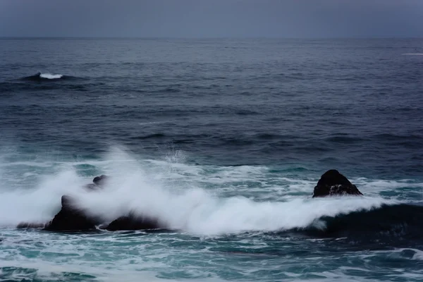 Fale i skały na Oceanie Spokojnym, w Pacific Grove, Californ — Zdjęcie stockowe