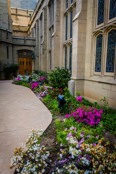 Jardines e iglesia en Pasadena, California . — Foto de Stock