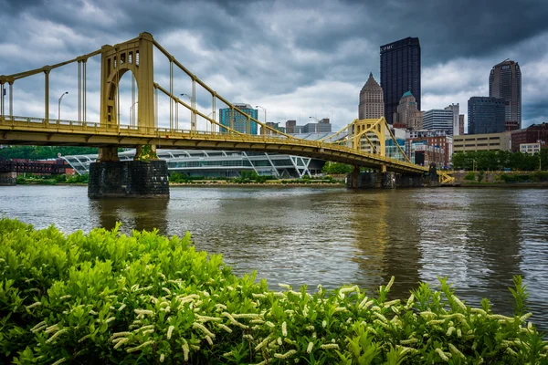 Rachel Carson bron över floden Allegheny i Pittsburgh, — Stockfoto