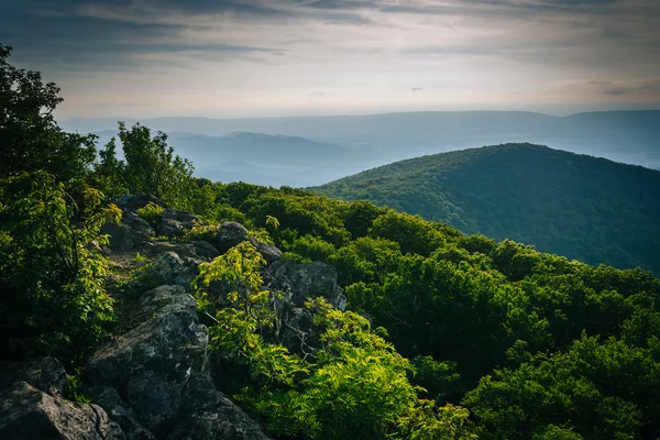 Večerní pohled z Hawksbill summitu, v národní Park Shenandoah, — Stock fotografie