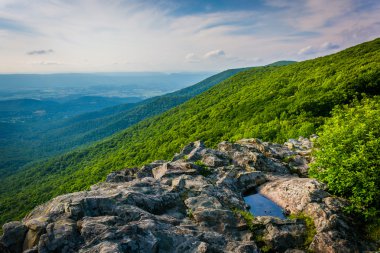 Hilal kaya..... Shenandoah Milli Parkı, Virginia görünümünden.