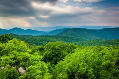 Shenandoah Milli Parkı, Virginia Loft dağ manzarası.