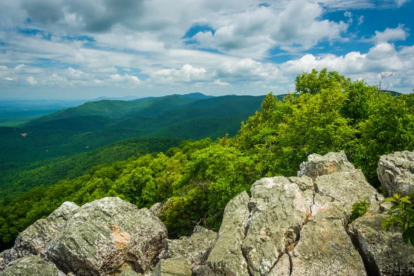 Vista das Montanhas Blue Ridge da Montanha Turca em Shenandoa — Fotografia de Stock
