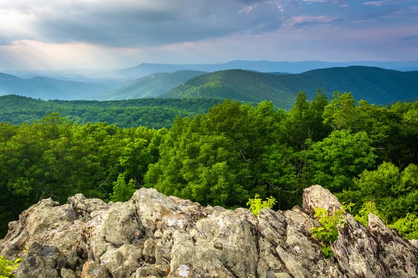 Widok z Blue Ridge Mountains z góry Loft w Shenandoa — Zdjęcie stockowe