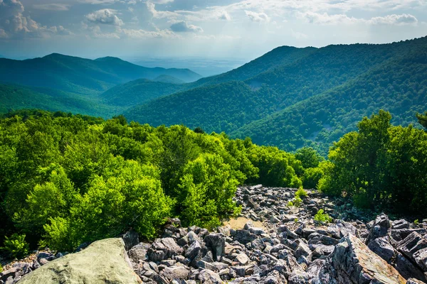 View of the Blue Ridge Mountains from Blackrock Summit in Shenan — Stock Photo, Image