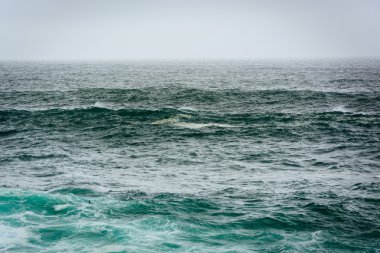 Waves in the Pacific Ocean, seen at Garrapata State Park, Califo