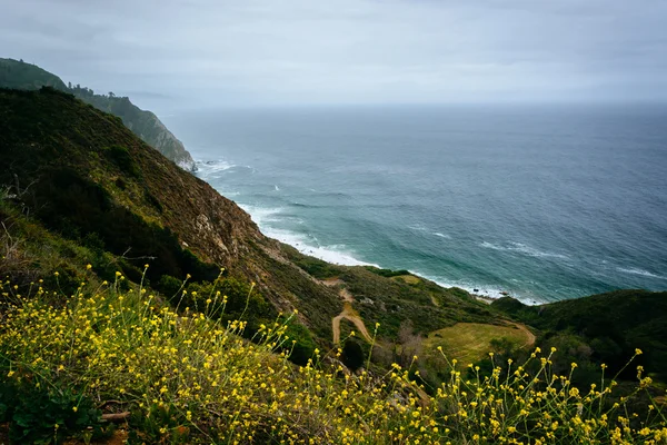 Flores amarelas e vista para o Oceano Pacífico em Big Sur, Califor — Fotografia de Stock