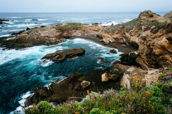 Widok zatoki w Point Lobos stan rezerwatu przyrody, w Carmel, — Zdjęcie stockowe