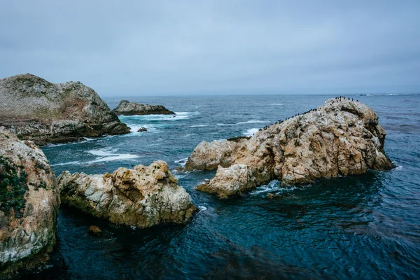 Massieve stenen in de Stille Oceaan, op punt Lobos staat natuurlijke — Stockfoto