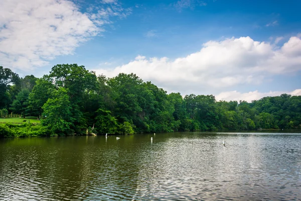 Lake Roland, em Robert E. Lee Park em Baltimore, Maryland . — Fotografia de Stock