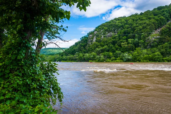 The Potomac River, in Harpers Ferry, West Virginia. — Stock Photo, Image